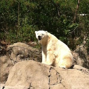 Meet your Posher, Julie